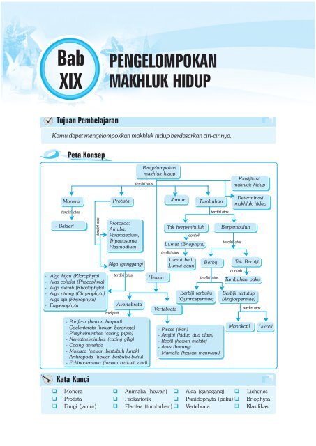 34++ Contoh hewan nemathelminthes dan nama latinnya info