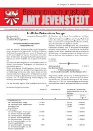 [PDF] Dokument ansehen - Amt Jevenstedt