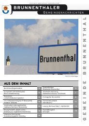 Ausgabe 4 aus 2009 - Gemeinde Brunnenthal