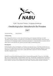 Ornithologischer Jahresbericht für Potsdam 2007 - ABBO