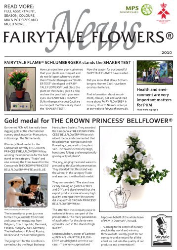 FAIRYTALE FLAME® SCHLUMBERGERA stands - Gartneriet PKM