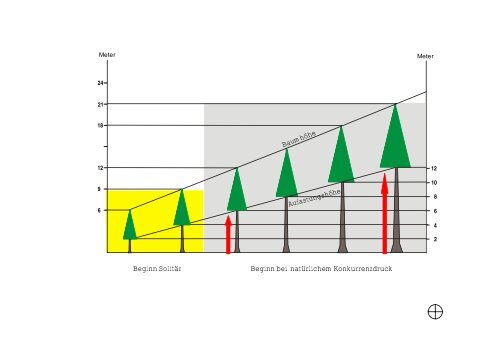 Waldbau mit Douglasie - BFW