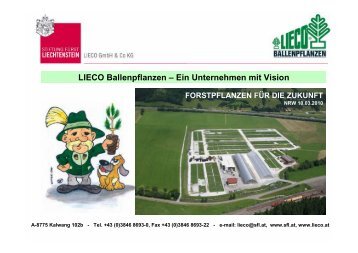 LIECO Ballenpflanzen - Forstwirtausbildung in NRW