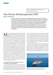 Das Ozean-Bohrprogramm ODP. Naturwissenschaftliche ... - BGR