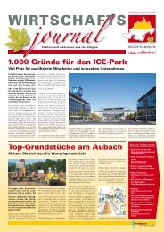 Wirtschafts-Journal 2010 - Verbandsgemeinde Montabaur