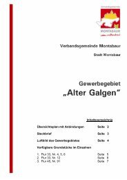 Katalog Gewerbegebiet Alter Galgen.pdf - Stadt Montabaur