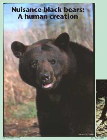 Nuisance black bears - California Department of Fish and Game