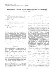 Description of Gibberella sacchari and neotypification of ... - Mycologia