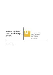 Evaluierungsbericht zum Konvertierungssystem - NetConnect ...