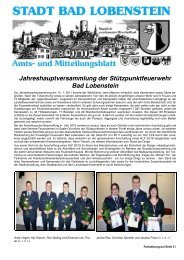 Amtsblatt 02 / 2011