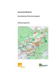 Erläuterungsbericht zum Flächennutzungsplan - Gemeinde Morbach