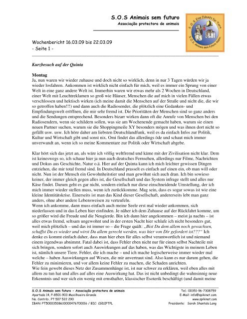 Wochenbericht Der Kw 12 Auswahl