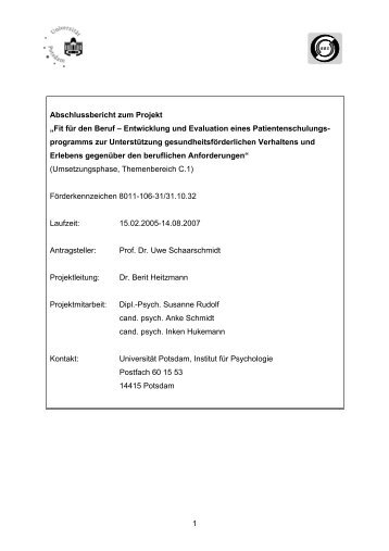 Schaarschmidt+_Fit-fuer-den-Beruf.pdf - Forschungsportal der ...