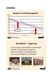 Scheitholz - Lagerung