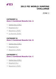 Zone 2 - FEI