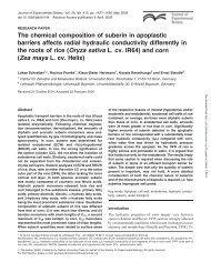 The chemical composition of suberin in apoplastic barriers affects ...