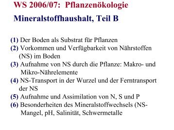 WS 2006/07: Pflanzenökologie Mineralstoffhaushalt, Teil B