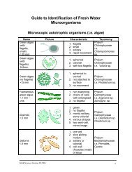 Guide to Identification of Fresh Water Microorganisms