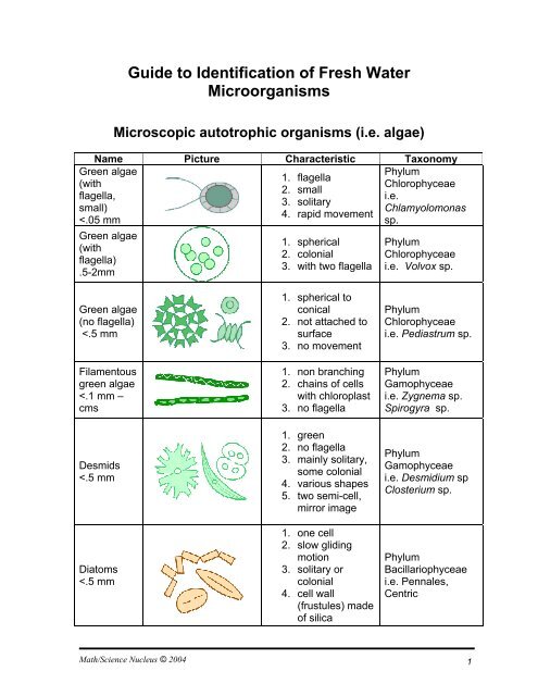 Guide to Identification of Fresh Water Microorganisms