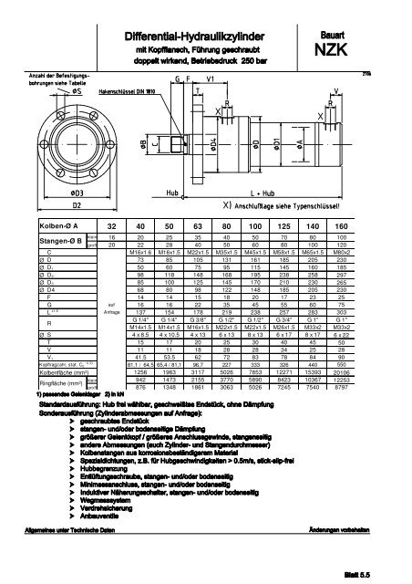 Differential-Hydraulikzylinder der Baureihe RB / RS