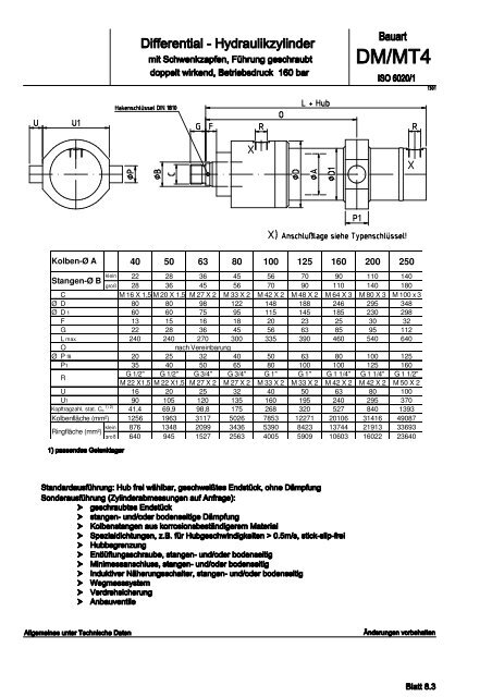 Differential-Hydraulikzylinder der Baureihe RB / RS