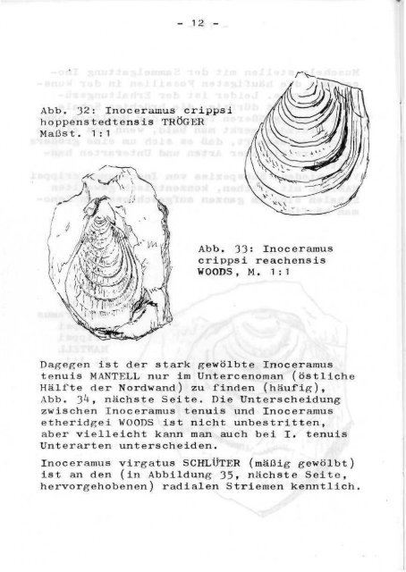 5/6 - Arbeitskreis Paläontologie Hannover