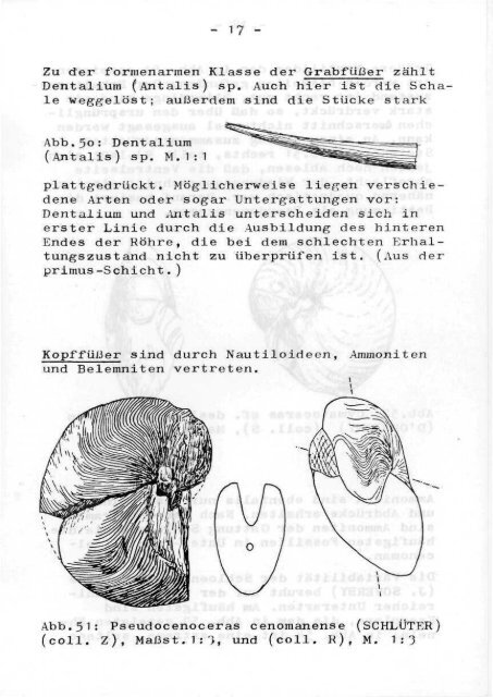 5/6 - Arbeitskreis Paläontologie Hannover