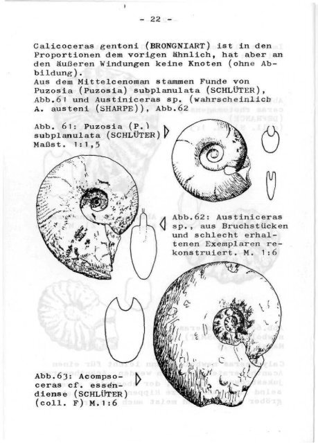 5/6 - Arbeitskreis Paläontologie Hannover