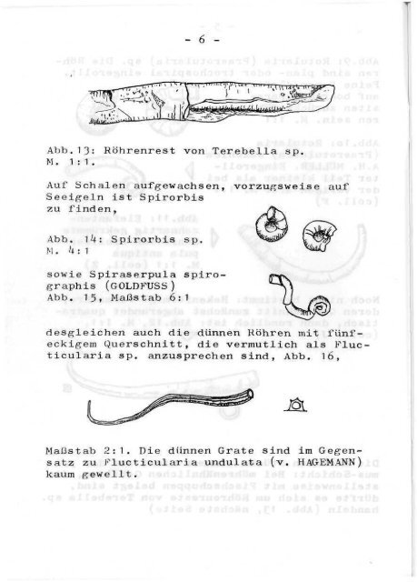 5/6 - Arbeitskreis Paläontologie Hannover