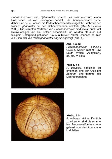 ARBEITSKREIS PALÄONTOLOGIE HANNOVER