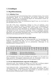 Diplomarbeit Abgabeversion 14.03 - Materialprüfungs- und ...