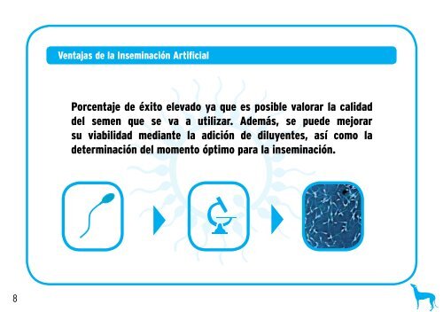 EL CAMINO HACIA SU SUEÑO PERRUNO - MINITÜB GmbH