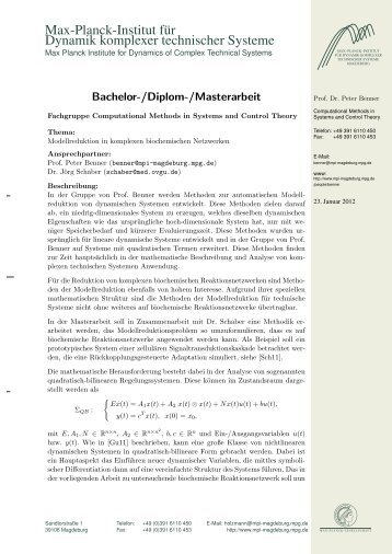 Bachelor-/Diplom-/Masterarbeit - Max Planck Institute for Dynamics ...