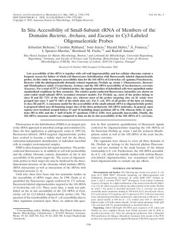 In Situ Accessibility of Small-Subunit rRNA of Members of the ...