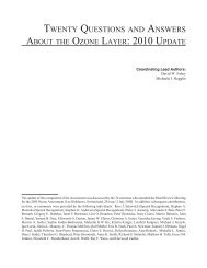 Twenty Questions and Answers About the Ozone Layer - UNEP