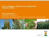 Die 5 wichtigsten Schritte zum erfolgreichen Sorghum ... - cultivent