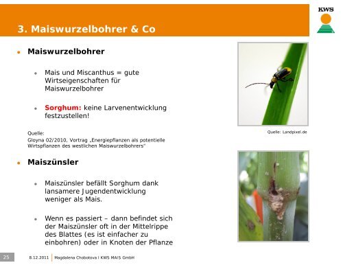 Die 5 wichtigsten Schritte zum erfolgreichen Sorghum ... - cultivent