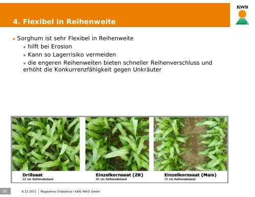 Die 5 wichtigsten Schritte zum erfolgreichen Sorghum ... - cultivent