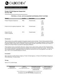 Protein G PLUS-Agarose Suspension Cat. No. IP08