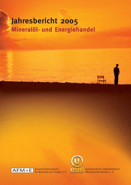 [PDF] Jahresbericht 2005 - AFM+E