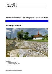 Publikation anschauen im PDF - uwe - Kanton Luzern