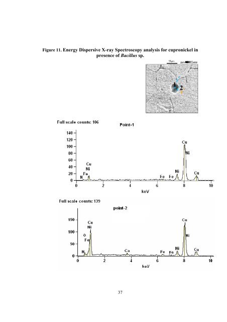 Maruthamuthu, S. et al. - Teesside's Research Repository