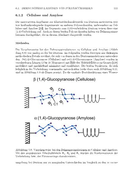 6.1.2 Cellulose und Amylose