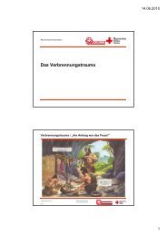 (Microsoft PowerPoint - Verbrennungstrauma ppt [Schreibgeschützt ...