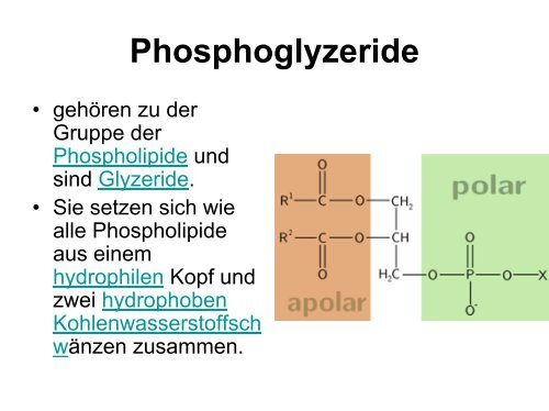 Rohwarenspezifikation