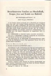 (1965): Bemerkenswerte Fossilien aus Muschelkalk, Keuper