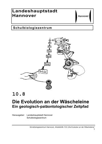 Die Evolution an der Wäscheleine