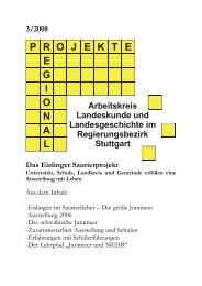 Download als pdf (980 kb) - Projekte Regional