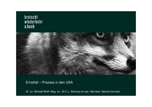 Haftungsrisiken in den USA.pdf - Bratschi Wiederkehr & Buob