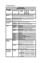 geometria descriptiva